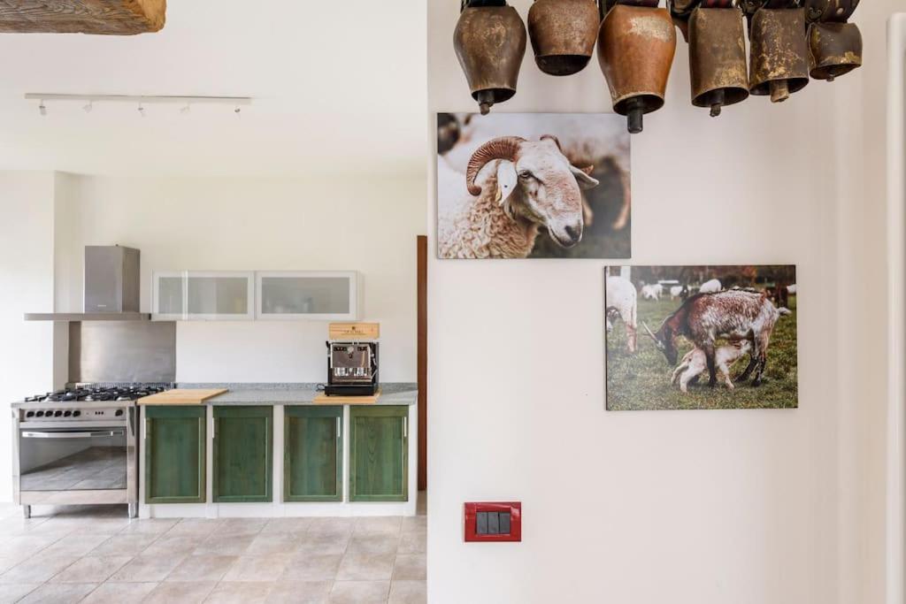 Agriturismo La Margherita San Giorgio Scarampi Экстерьер фото